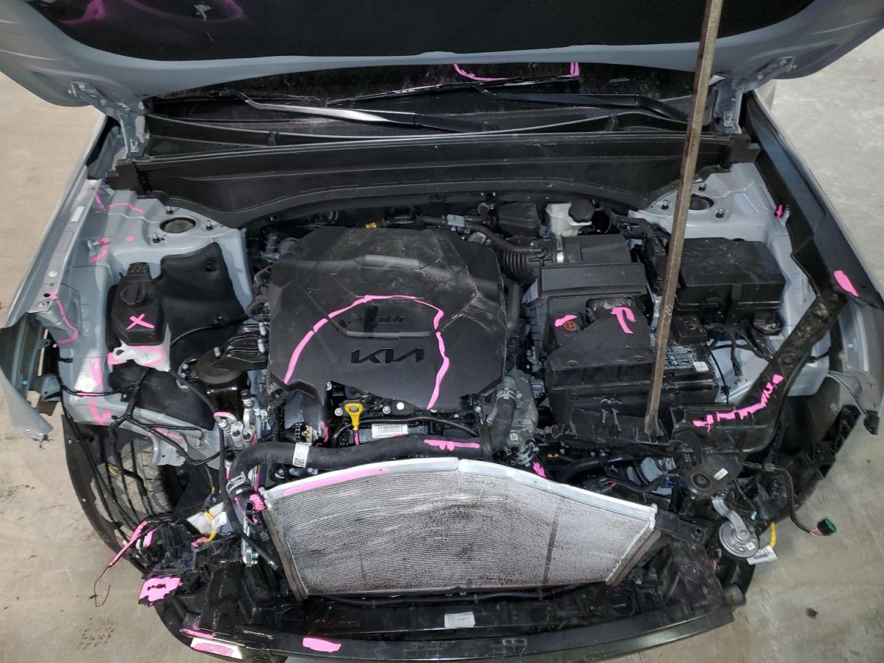 2023 KIA TELLURIDE EX VIN:5XYP3DGC6PG351805