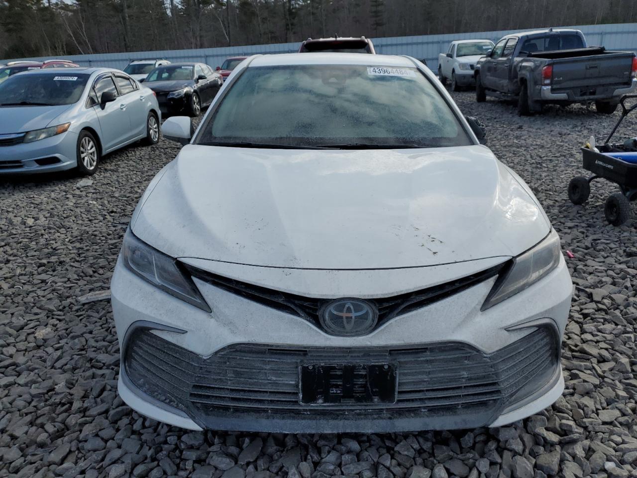 2023 TOYOTA CAMRY LE VIN:4T1C11BK4PU093196