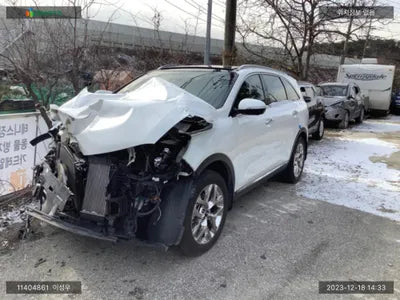 2019 Kia Sorento KNAPK81BBLA565195 VIN:KNAPK81BBLA565195