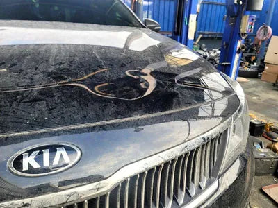 2019 Kia K5 KNAGW411BKA343720 VIN:KNAGW411BKA343720