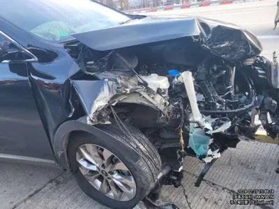 2019 Kia Sorento 324KMKNAPK81BBKA5 VIN:324KMKNAPK81BBKA5