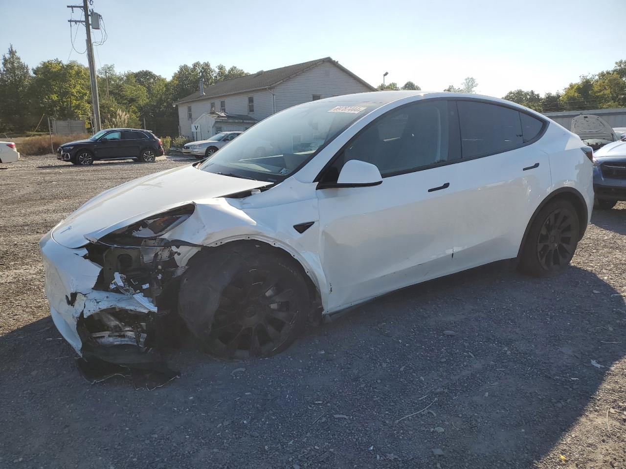 2023 TESLA MODEL Y  VIN:7SAYGDEEXPA105845