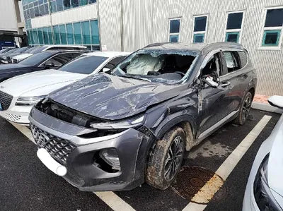 2020 Hyundai Santa FE KMHS381BDLU264845 VIN:KMHS381BDLU264845