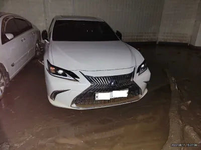 2019 Lexus ES 300 JTHB21B11K2015515 VIN:JTHB21B11K2015515