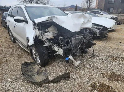 2017 Kia Sorento KNAPS81BDHA310714 VIN:KNAPS81BDHA310714