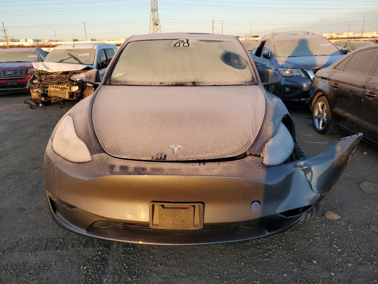 2023 TESLA MODEL Y  VIN:7SAYGDEEXPA188113