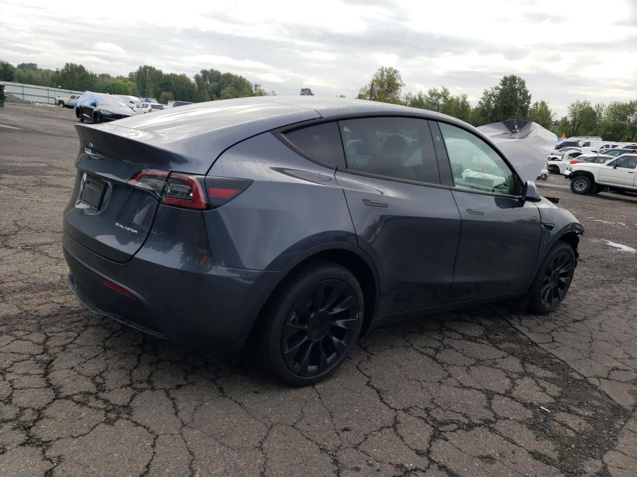 2023 TESLA MODEL Y  VIN:7SAYGDEE0PF880867