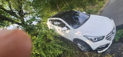 2016 Hyundai Santa FE KMHSW81UBGU638113 VIN:KMHSW81UBGU638113