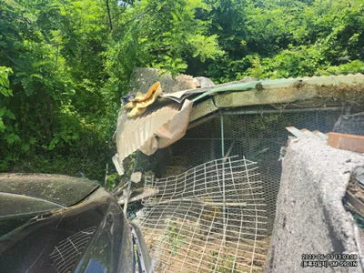 2023 Genesis G90 VIN: