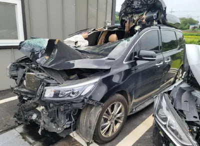 2020 Kia Carnival KNAME81ABLS644435 VIN:KNAME81ABLS644435
