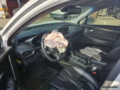 2019 Hyundai Santa FE KMHS381CBKU011363 VIN:KMHS381CBKU011363