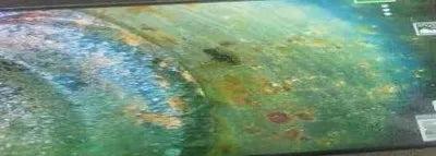 2019 Mercedes-Benz GLA 220 VIN: