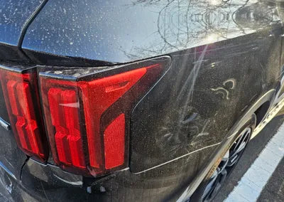 2022 Kia Sorento KNARM81FHNA116681 VIN:KNARM81FHNA116681