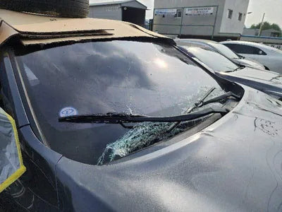 2017 Kia Sorento KNAPS81ABHA358737 VIN:KNAPS81ABHA358737