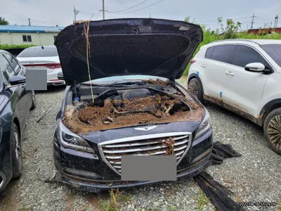 2015 acupuncture nessis 3.3 VIN: