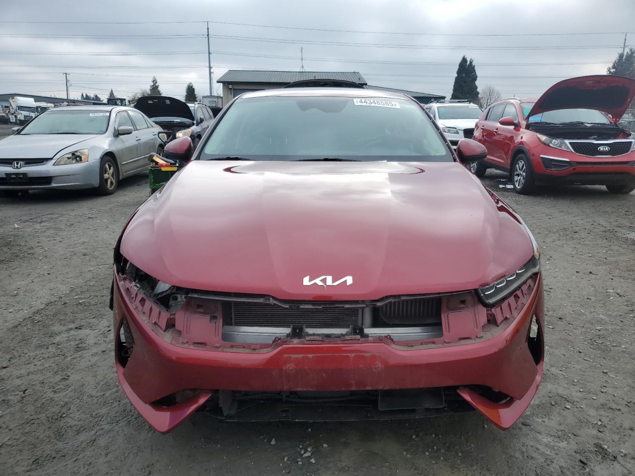 2022 KIA K5 LXS VIN:5XXG14J22NG131584