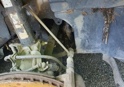 2015 Volkswagen Golf WVWZZZAUZFW190384 VIN:WVWZZZAUZFW190384