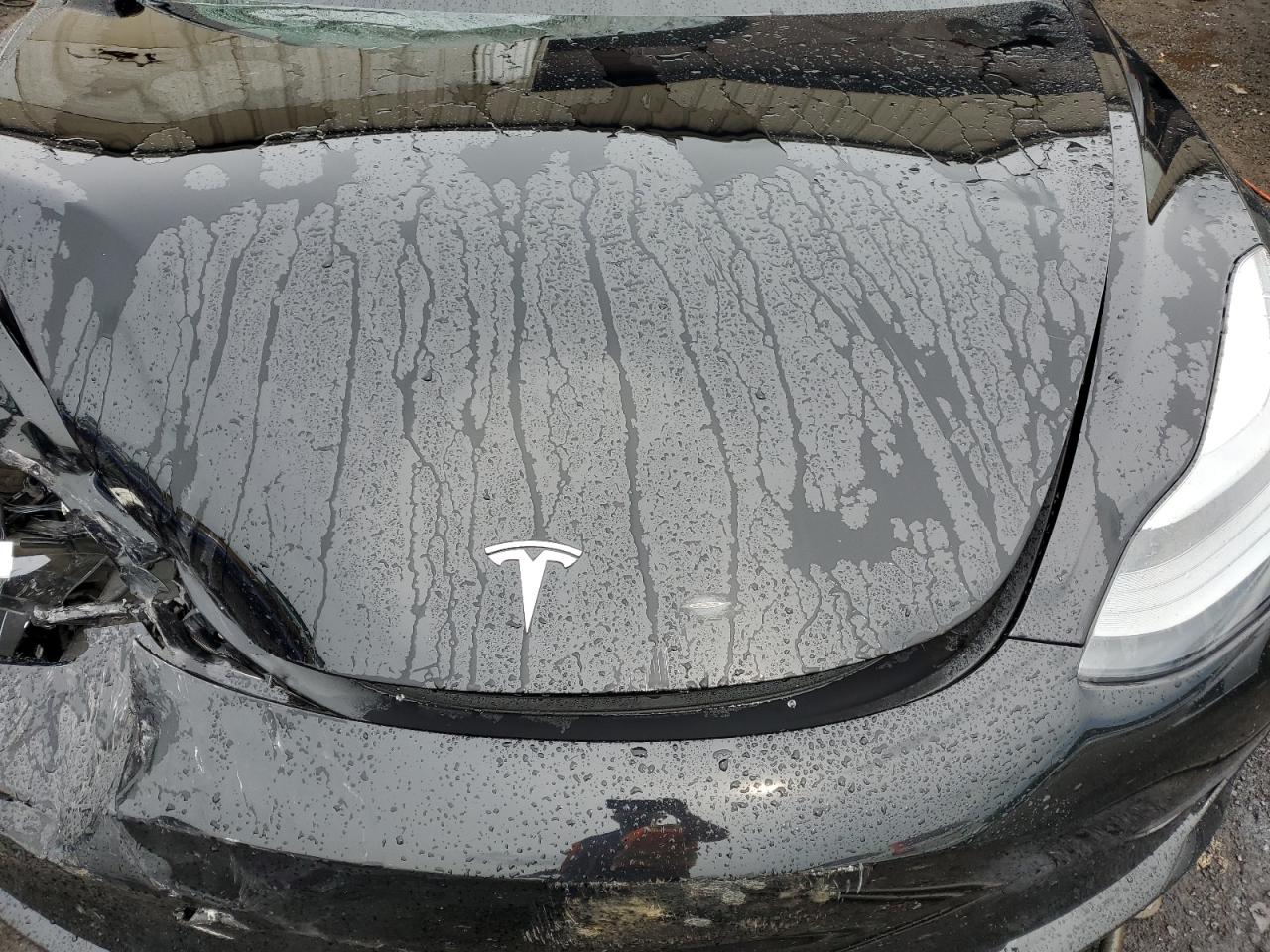 2022 TESLA MODEL 3  VIN:5YJ3E1EB6NF256490