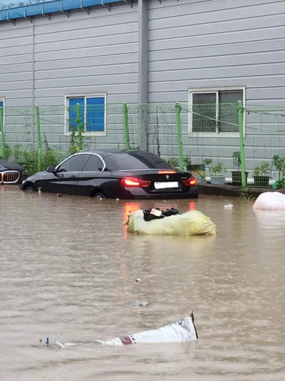 2019 BMW 430 WBA4Z110XKEF34947 VIN:WBA4Z110XKEF34947