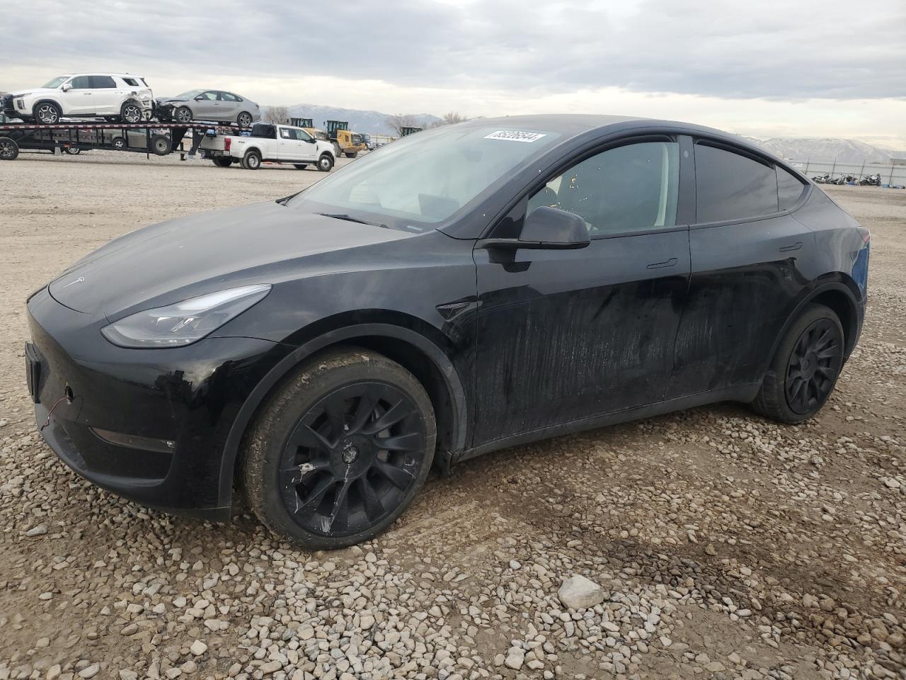 2023 TESLA MODEL Y  VIN:7SAYGAEE8PF772964