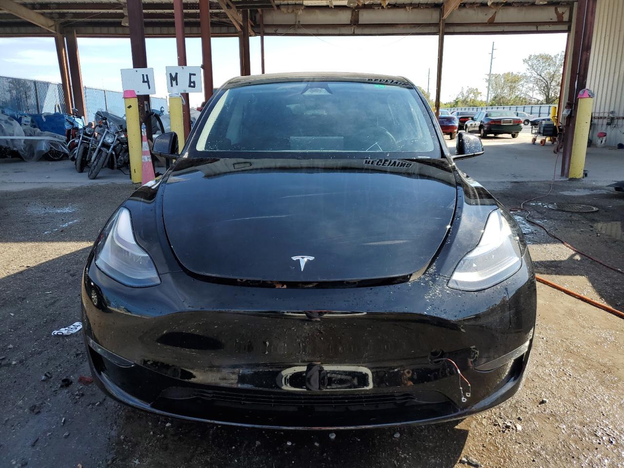 2024 TESLA MODEL Y  VIN:7SAYGDEF0RA295019