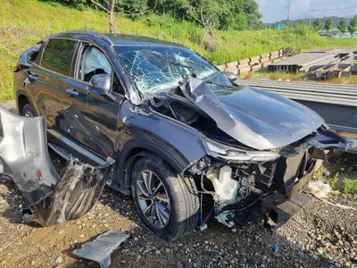 2020 Hyundai Santa FE KMHS281ABLU287220 VIN:KMHS281ABLU287220