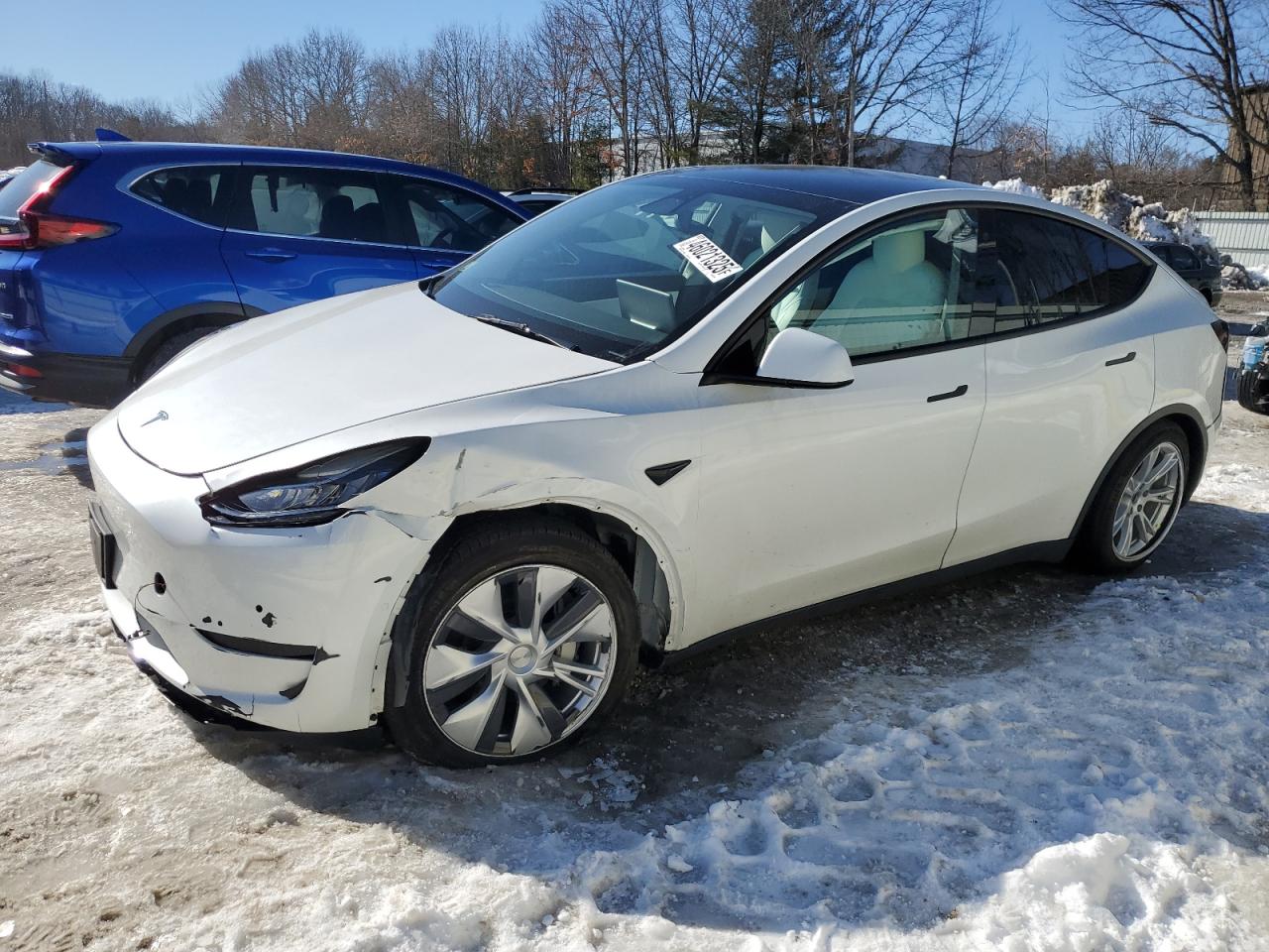 2022 TESLA MODEL Y  VIN:7SAYGDEE2NF339753