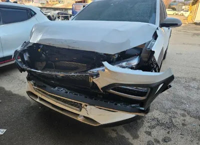 2020 Hyundai Kona KMHK381EGLU028060 VIN:KMHK381EGLU028060