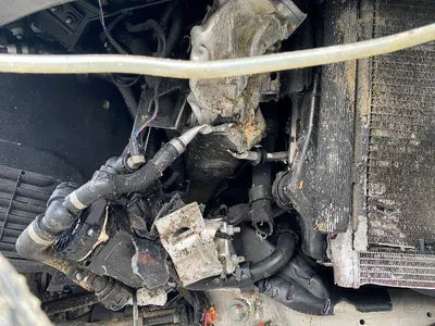 2020 Mercedes-Benz S 560 W1KUG8GB4LA565844 VIN:W1KUG8GB4LA565844