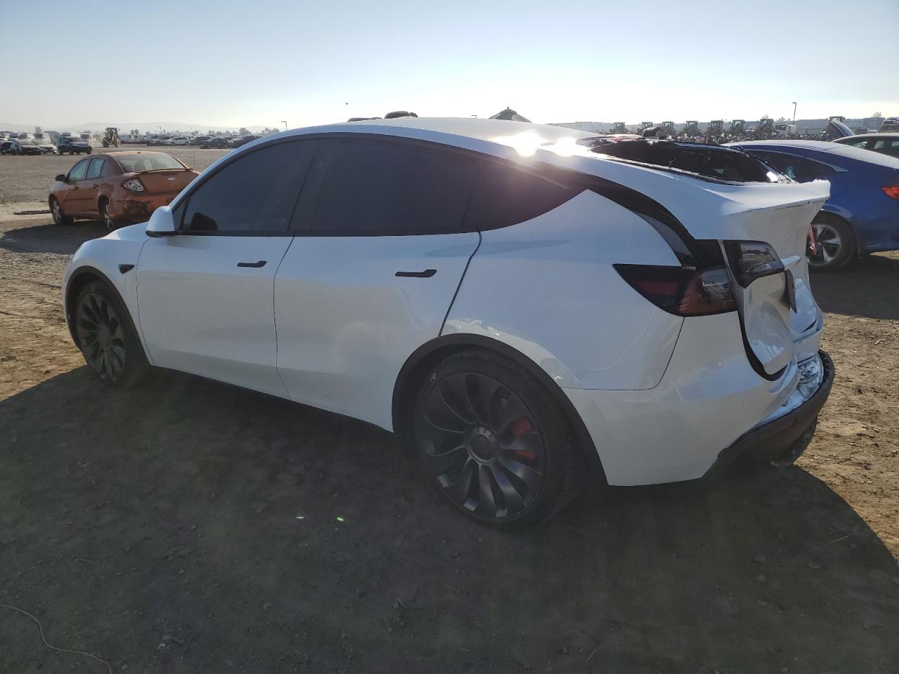 2023 TESLA MODEL Y  VIN:7SAYGDEF7PF823414