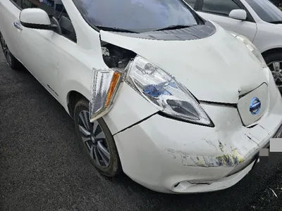 2015 Nissan Leaf VIN: