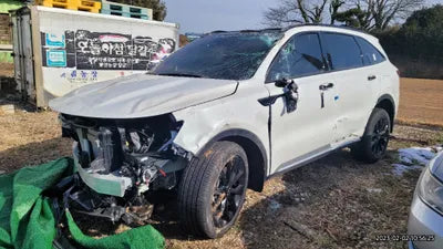 2023 Kia Sorento KNARJ81FGPA201460 VIN:KNARJ81FGPA201460