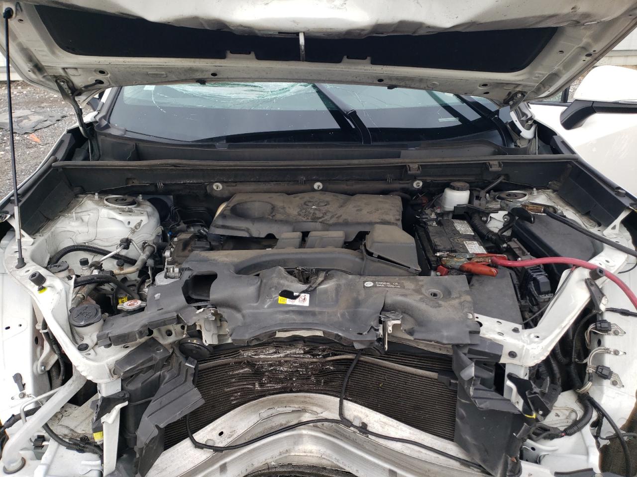 2023 TOYOTA RAV4 LE VIN:2T3G1RFV5PC328704