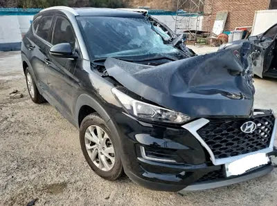 2019 Hyundai Tucson KMHJ381ABKU068469 VIN:KMHJ381ABKU068469