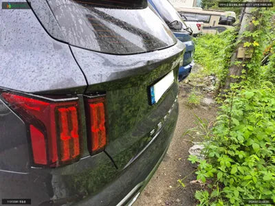 2021 Kia Sorento KNARH81BGNA137919 VIN:KNARH81BGNA137919