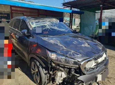 2018 Kia Sorento KNAPS81ADJA450455 VIN:KNAPS81ADJA450455