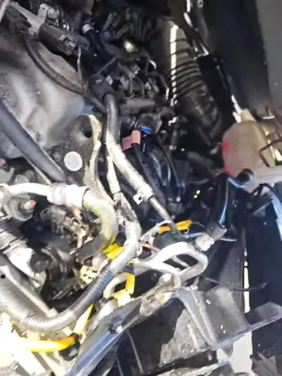 2020 Hyundai Kona KMHK4815GLU652562 VIN:KMHK4815GLU652562