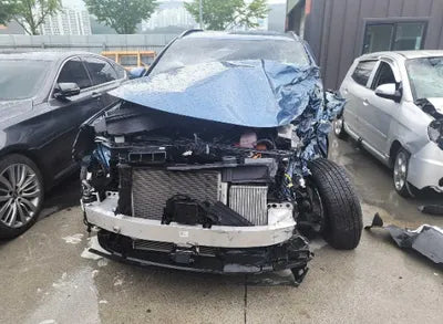 2023 Kia Sorento KNARL81GBPA160134 VIN:KNARL81GBPA160134