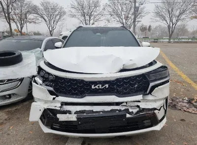 2023 Kia Sorento KNARJ81GBPA204006 VIN:KNARJ81GBPA204006