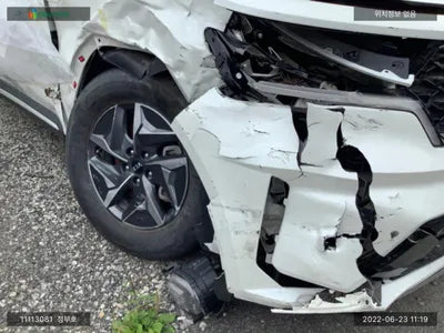 2020 Kia Sorento KNARH81GBMA020392 VIN:KNARH81GBMA020392