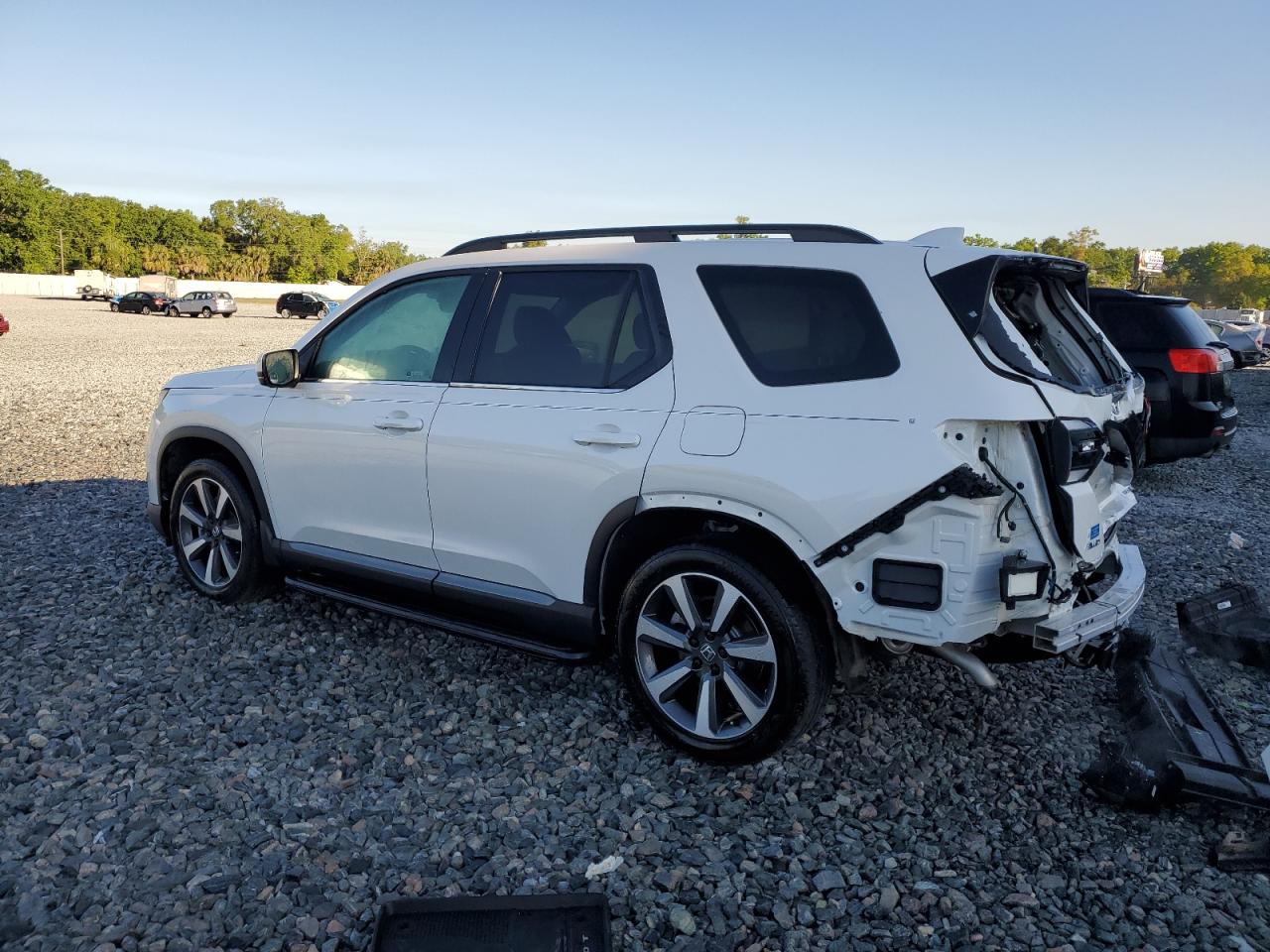 2024 HONDA PILOT ELITE VIN:5FNYG1H81RB043050