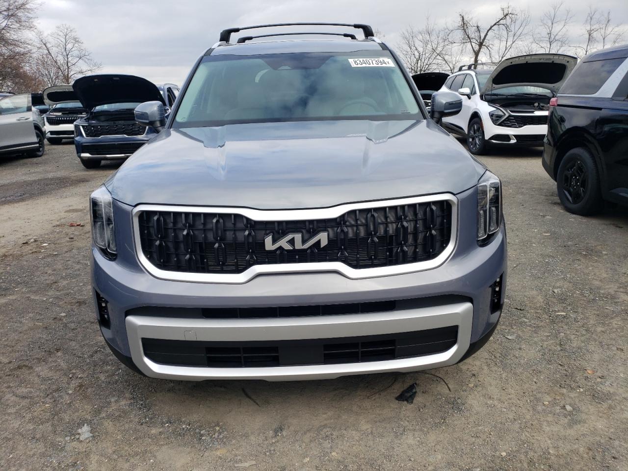 2024 KIA TELLURIDE EX VIN:5XYP34GC6RG560254