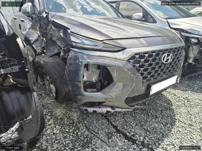 2019 Hyundai Santa FE KMHS581BDKU176768 VIN:KMHS581BDKU176768