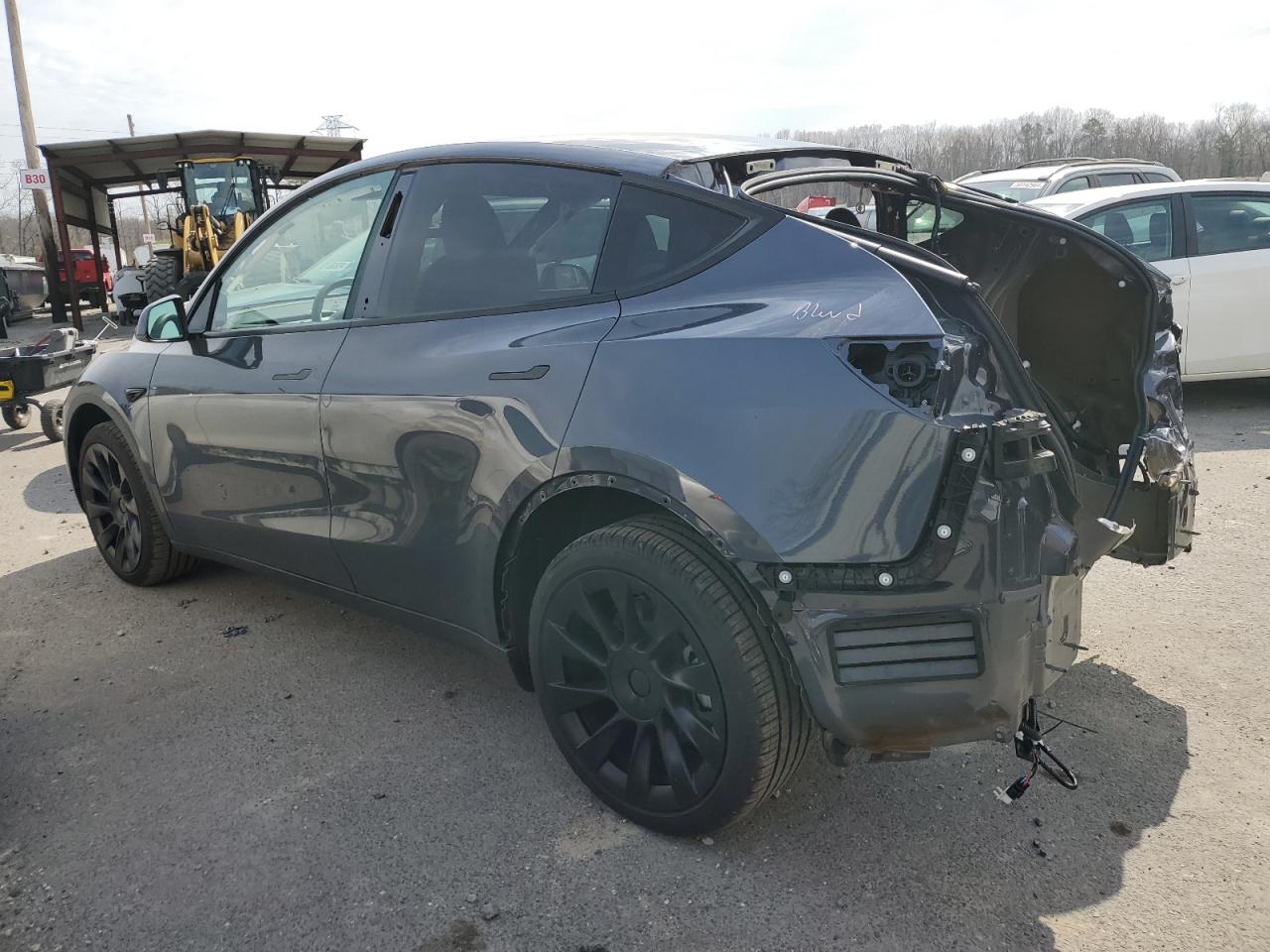 2023 TESLA MODEL Y  VIN:7SAYGDEE3PF873931