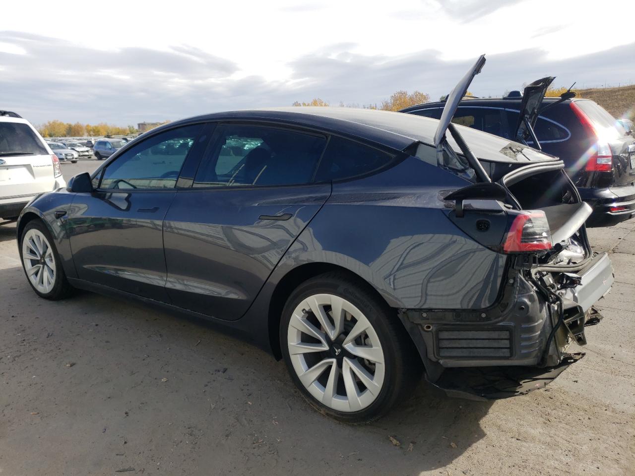 2023 TESLA MODEL 3  VIN:5YJ3E1EB5PF636231