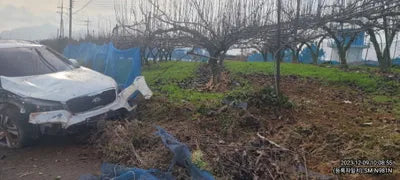 2017 Kia Sorento 339KMKNAPH81ABHA3 VIN:339KMKNAPH81ABHA3