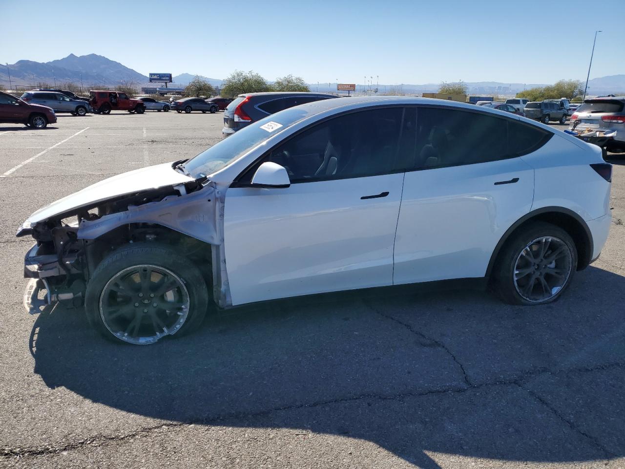 2023 TESLA MODEL Y  VIN:7SAYGDEE4PF850836