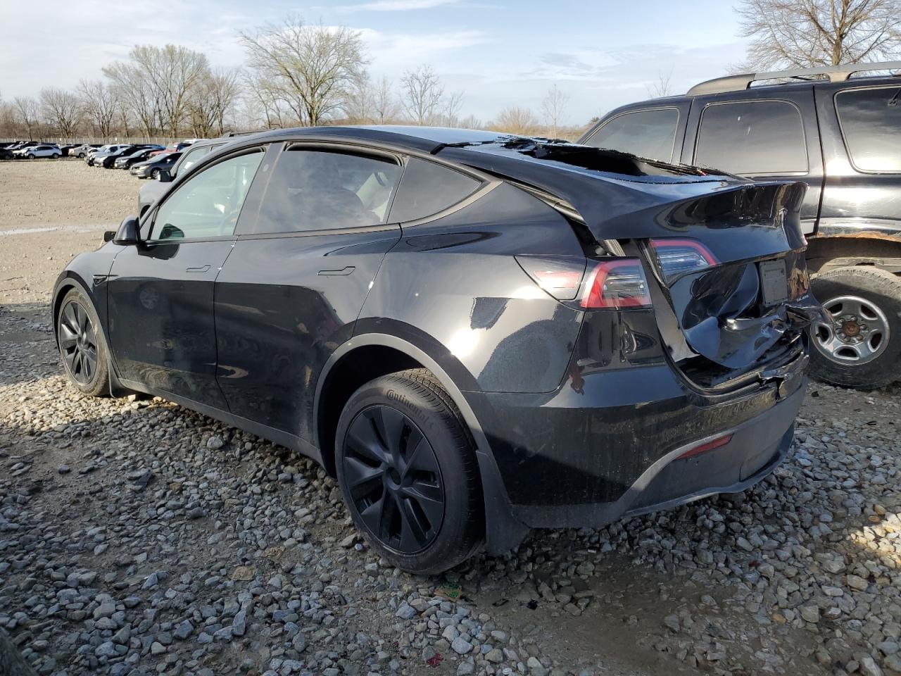 2024 TESLA MODEL Y  VIN:7SAYGDEE9RF183281