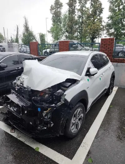 2020 Hyundai Kona KMHK381EGLU046876 VIN:KMHK381EGLU046876