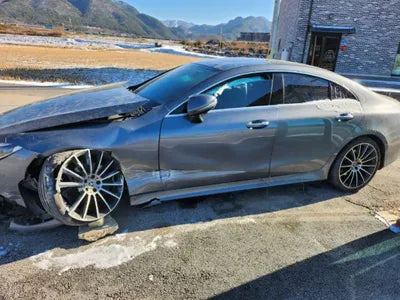 2019 Mercedes-Benz CLS 400 842KMWDD2J2DB8KA0 VIN:842KMWDD2J2DB8KA0